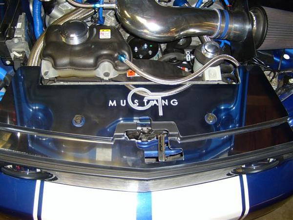 2006 Mustang Shelroush-stang-2006-006-small-.jpg