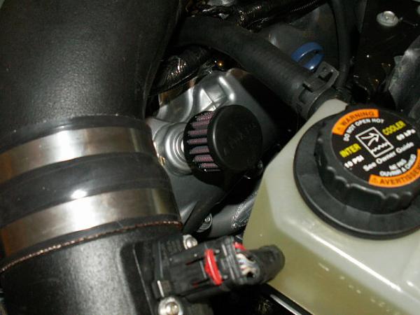breathers/catch can installed-venomventsicupgrade-013.jpg