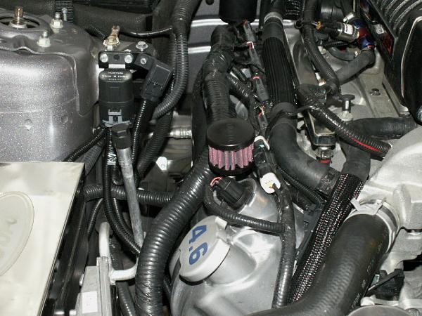 breathers/catch can installed-venomventsicupgrade-014.jpg