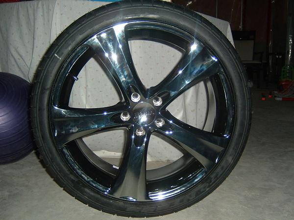 What's Your Next Mod?-wheel.jpg