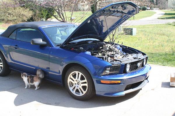 Steeda Billet Charge-Motion Control Plates Installation-distance.jpg