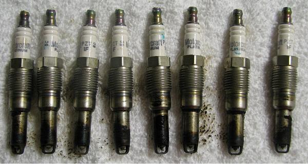 Installed Champion Plugs-removed-spark-plugs.jpg