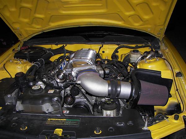 Strange whine at part throttle.-100_3551-large-.jpg