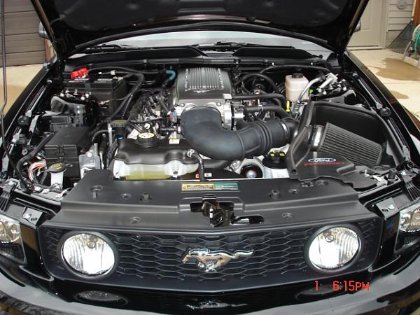 New exhaust and cold air added!!-dsc00976.jpg