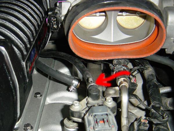 Whipple Hose misplaced?-frp-hose.jpg