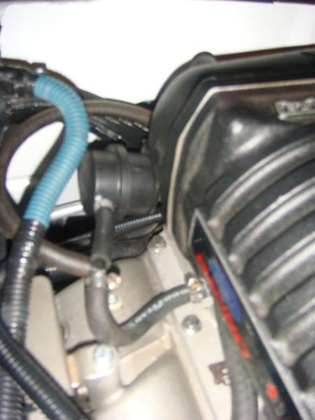 Whipple Hose misplaced?-dsc00366.jpg