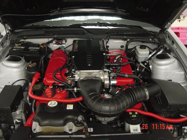 Saleen Install Begins!-picture-227.jpg