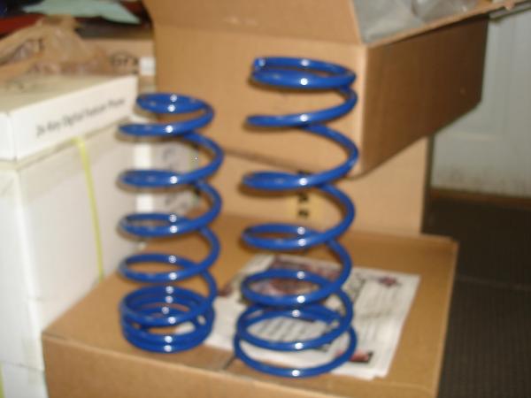 FRPP Lowering Springs Pictures-dsc07178.jpg