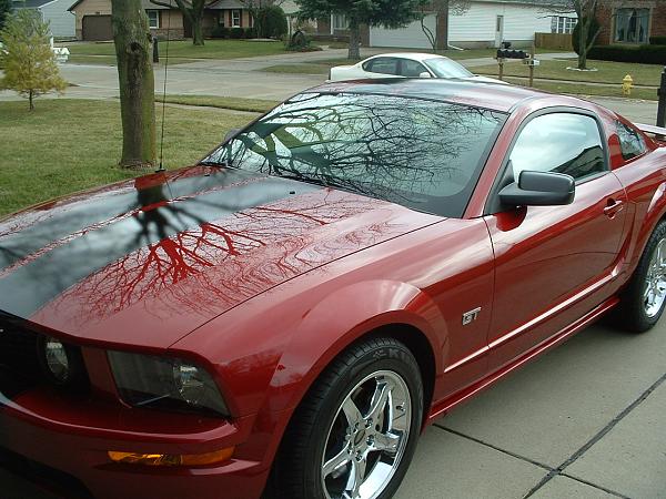 Are 255/50-17 worth 0 more than 235/55-17?-stang-stripes-005.jpg