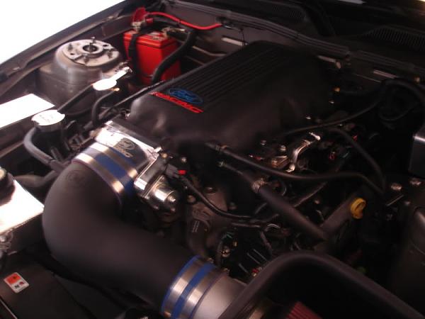 FRPP 3V Intake-frpp-intake-c-l-racer.jpg