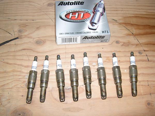 Another reason to run an oil seperator-plugs-002.jpg