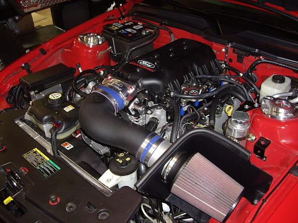 FRPP 3V Intake-imgp3160.jpg