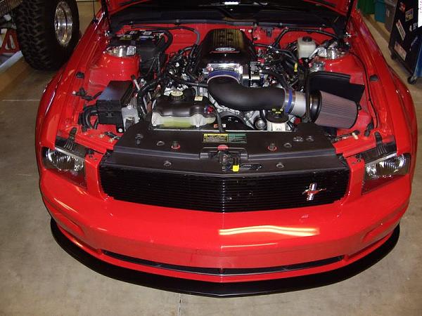 FRPP 3V Intake-imgp3161.jpg