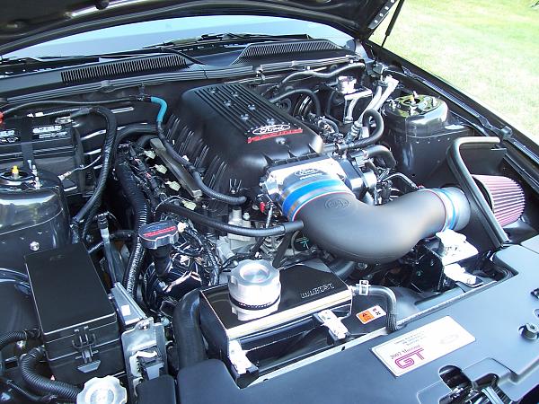 FRPP 3V Intake-frpp-intake-016.jpg