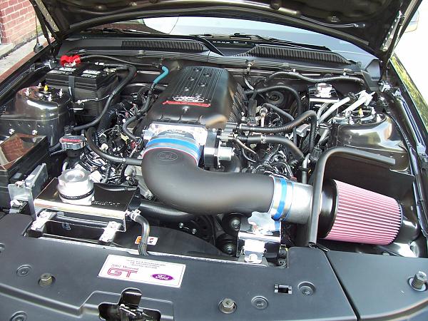 FRPP 3V Intake-frpp-intake-018.jpg