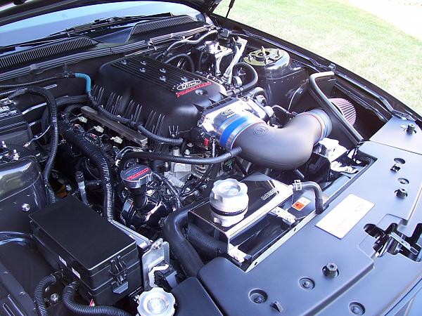 FRPP 3V Intake-frpp-intake-020.jpg