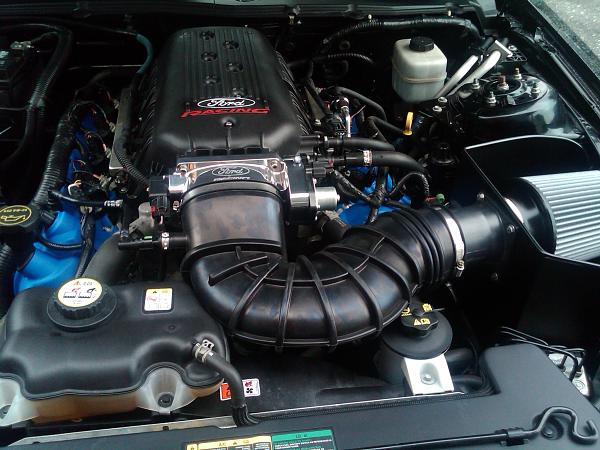 FRPP 3V Intake-img00011-20100812-1708.jpg