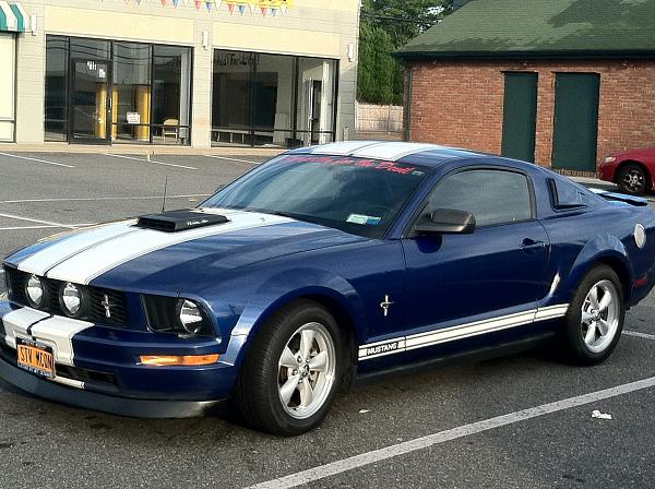 My Steeda Goodness-photo2.jpg