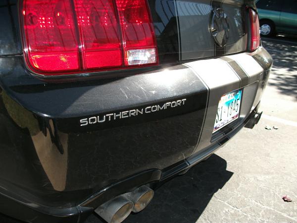 Exhaust set up-dscf2415.jpg