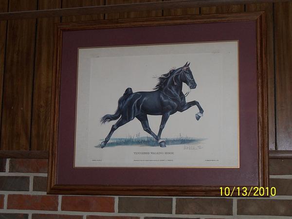 Tennessee Walking Horse Print-tnwaklinghorse.jpg