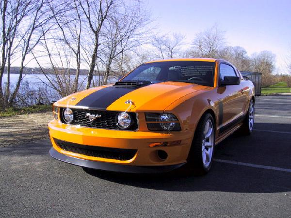 Introducing Myself And My Saleen-next-day-11-800x600.jpg