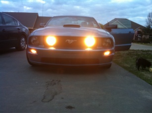 Name:  image-1226403126.jpg
Views: 297
Size:  21.7 KB