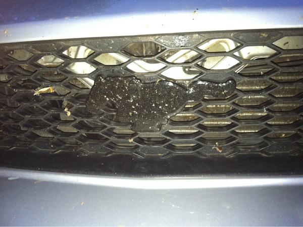 Any pics of pony delete-image-2583992058.jpg