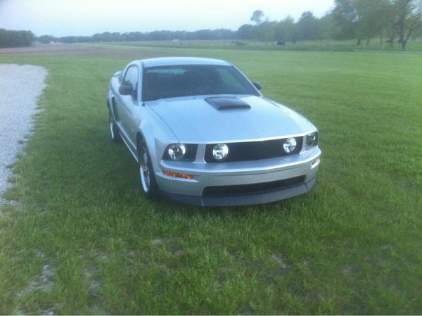 Any pics of pony delete-image-2722037251.jpg