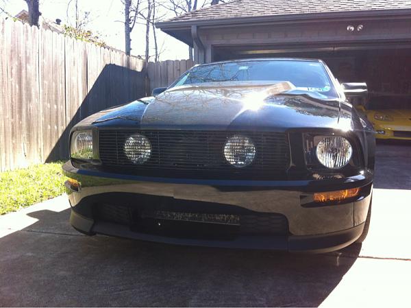 Any pics of pony delete-image-1570134199.jpg