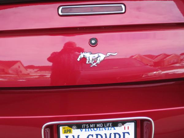 Rear Medallion Replacement Opinions-img_0769.jpg