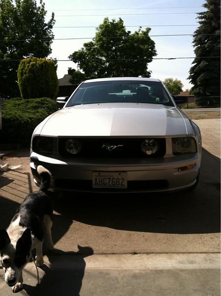 Cheap nose job-image-3647753101.jpg