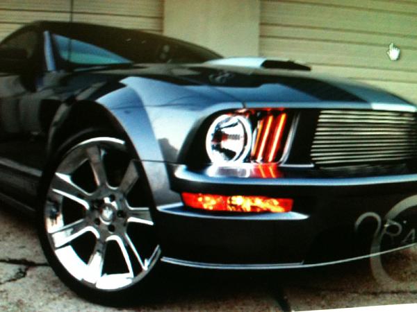 Color changing halos-image-1665757144.jpg