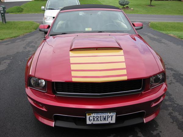 Homemade Hood Stripes-img_1034.jpg