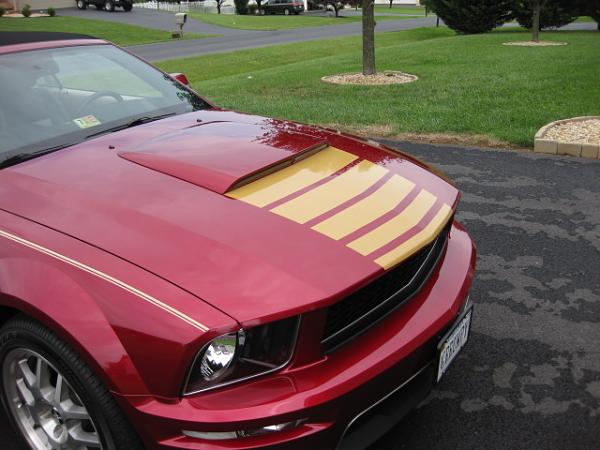 Homemade Hood Stripes-img_1035.jpg