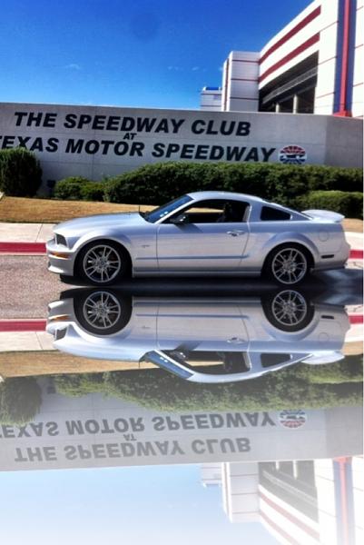 lets see those fresh hand washed stangs-image-4240207798.jpg
