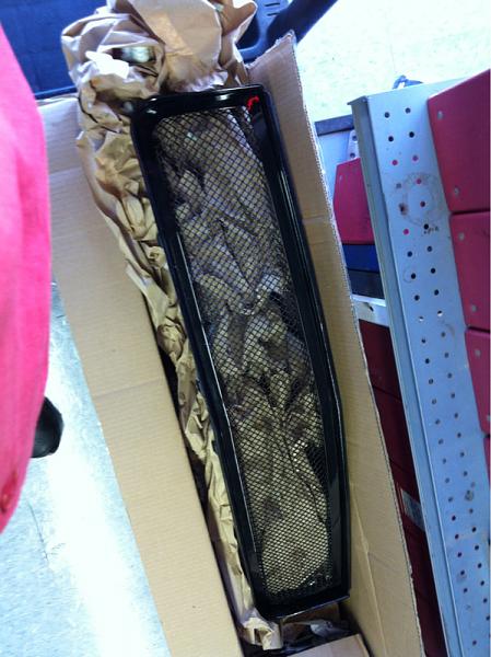 Show mr your aftermarket GT grill-image-2807452600.jpg