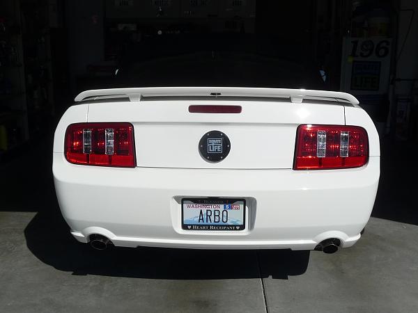 install on new tail lights from AM-rear-10-tails.jpg