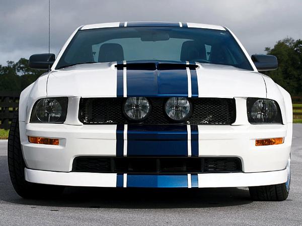 Performance white with Shelby GT 500 stripes...-fang67_should.jpg