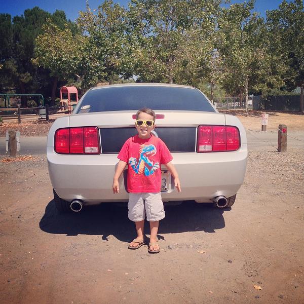 Show Us Your Rear-image.jpg