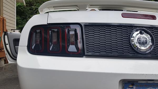Show Us Your Rear-20140919_133547.jpg