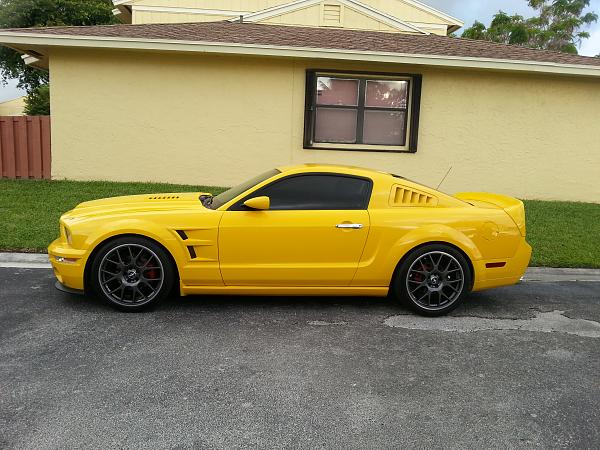 Post your pics of "custom" fender emblems>>-20150517_071653.jpg