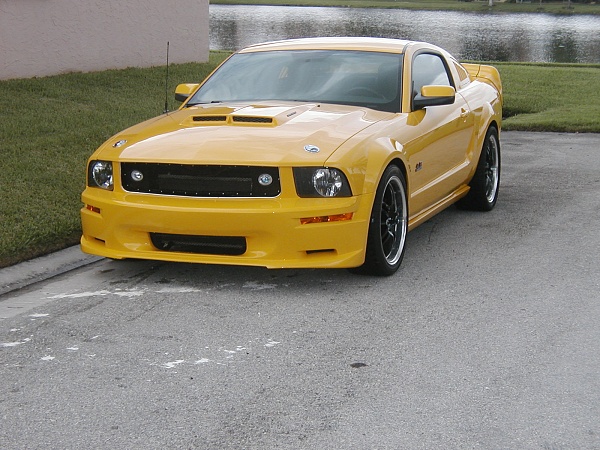 Aftermarket Bumpers-shelbycs6fascia.jpg