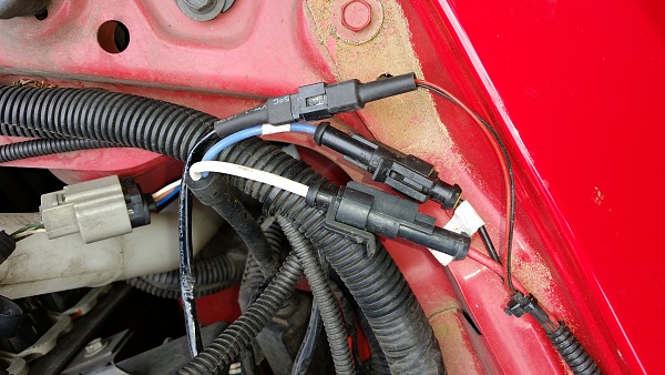 HID bulb replacement -- or back to OEM-hidconnectors.jpg