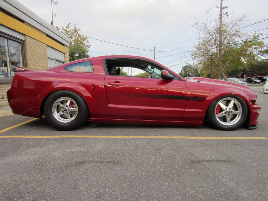 Name:  IMG_9718%20Medium_zpsmiia02hz.jpg
Views: 1004
Size:  211.4 KB