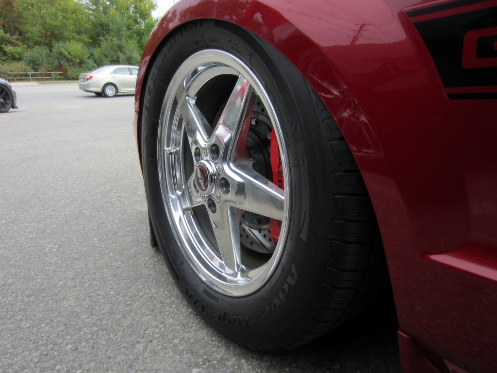 Name:  IMG_9755%20Medium_zpsoygd8jzd.jpg
Views: 953
Size:  170.5 KB