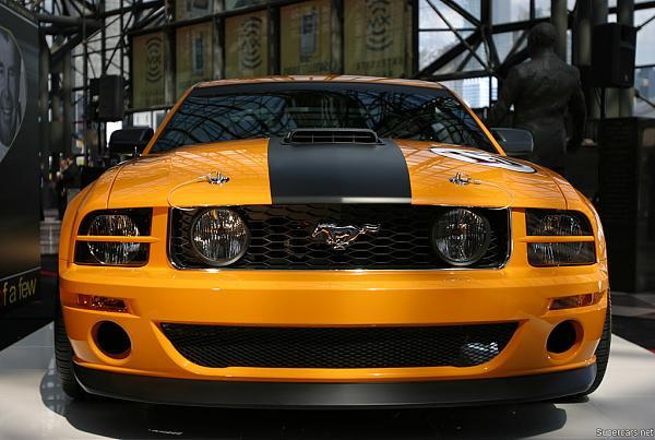 Roush, Steeda, BBR, Cervini, and my wish for a GT-350R front Fascia.  66 GT-350 billet grille look-156317.jpg