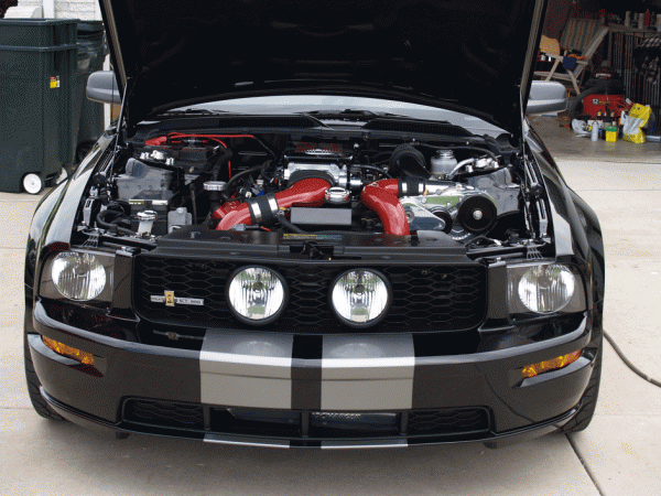 Center fog lights...-mistang1.gif