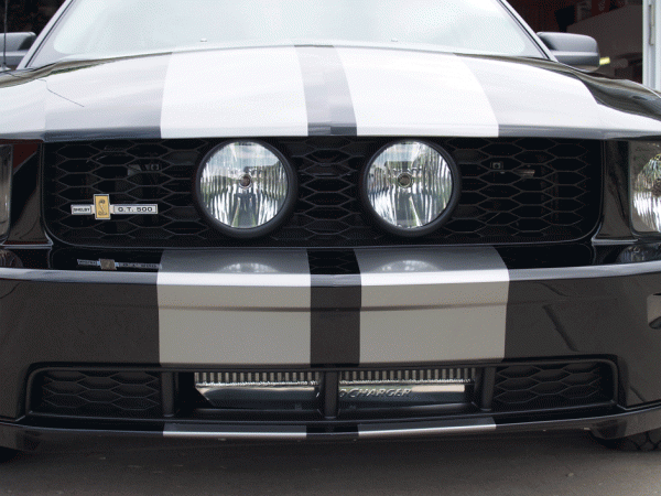 Center fog lights...-mustang2.gif