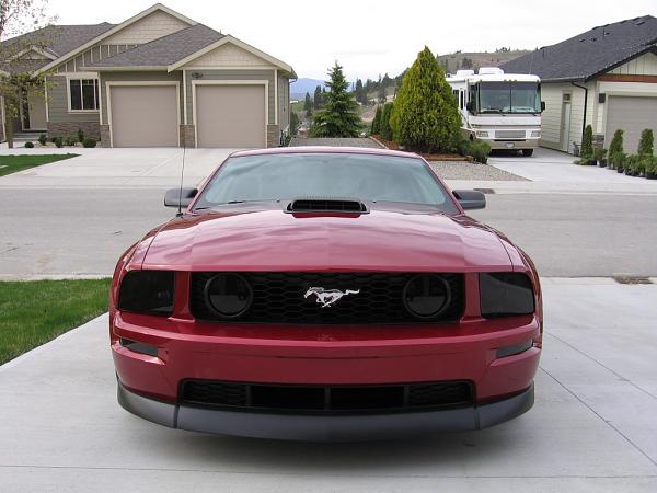 Shaker hood-shaken.jpg