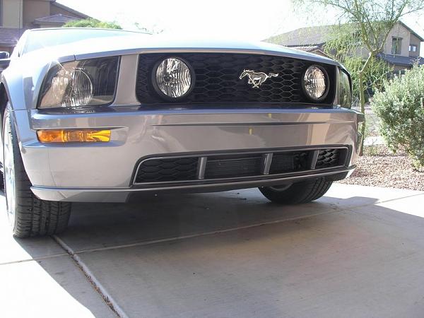 Anyone with Painted GT Lower Grill-p5210349.jpg